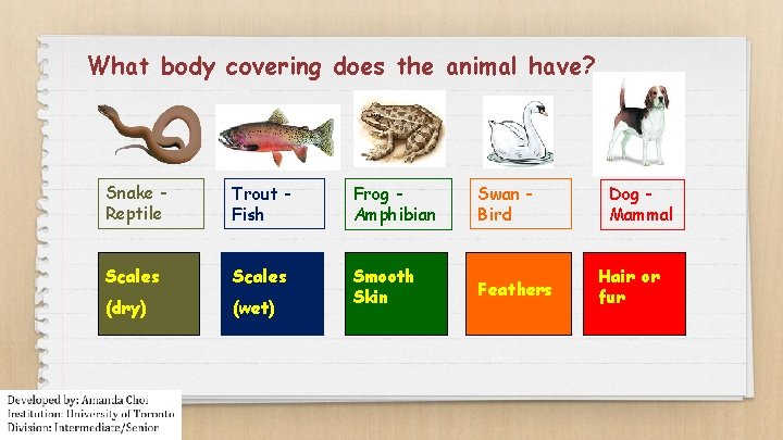 What body covering does the animal have? Snake Reptile Trout Fish Frog Amphibian Scales