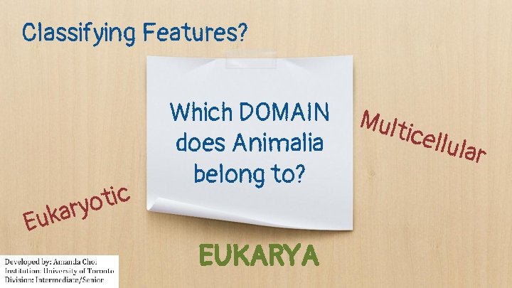 Classifying Features? c i t o y r a k Eu Which DOMAIN does