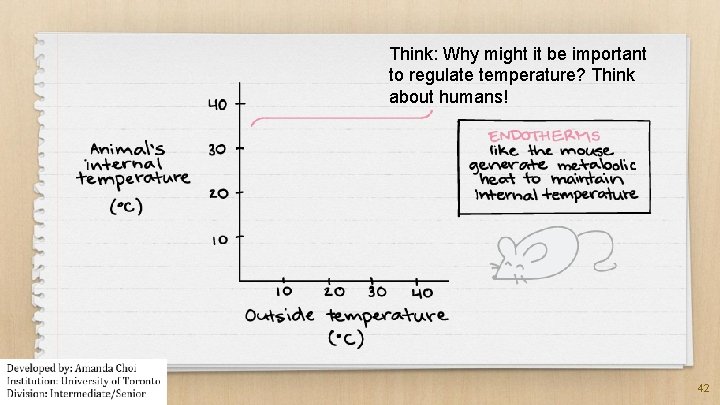 Think: Why might it be important to regulate temperature? Think about humans! 42 