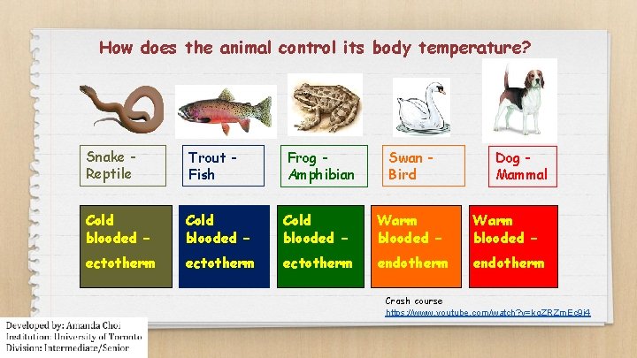 How does the animal control its body temperature? Snake Reptile Trout Fish Frog Amphibian