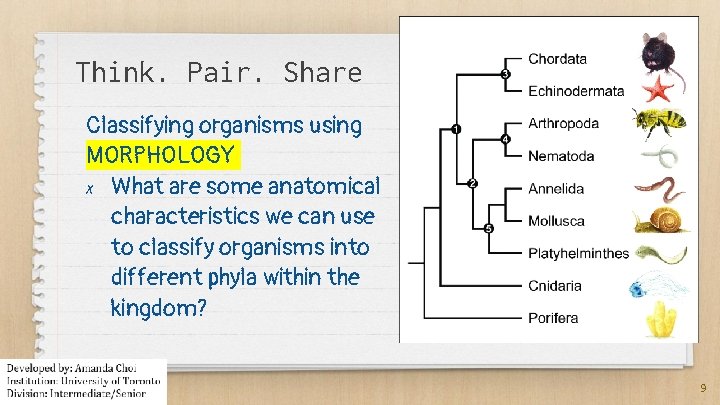 Think. Pair. Share Classifying organisms using MORPHOLOGY ✗ What are some anatomical characteristics we