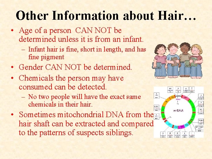 Other Information about Hair… • Age of a person CAN NOT be determined unless