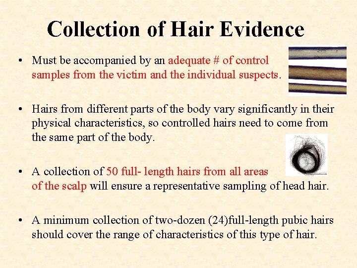 Collection of Hair Evidence • Must be accompanied by an adequate # of control