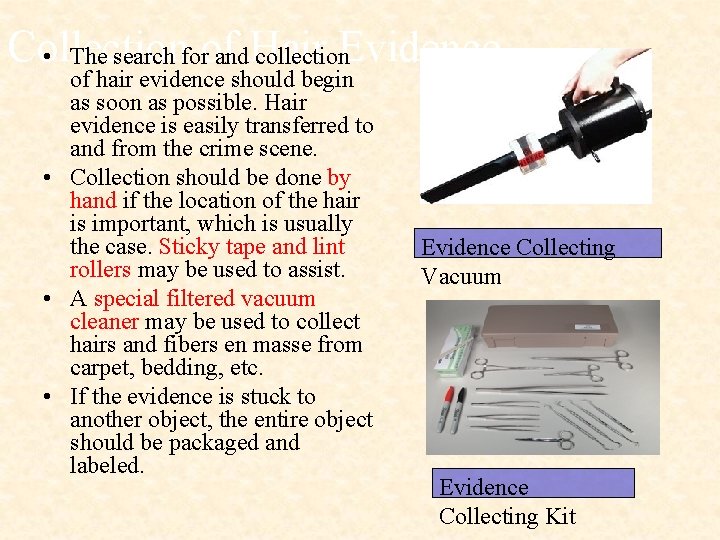 Collection of Hair Evidence • The search for and collection of hair evidence should