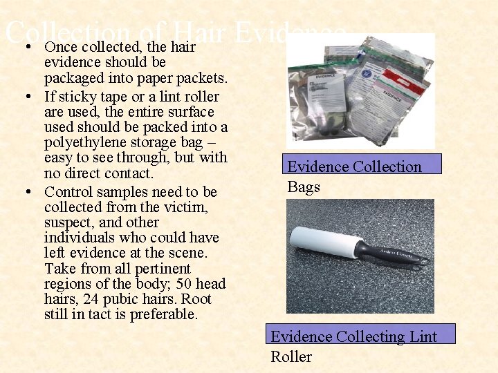 Collection of Hair Evidence • Once collected, the hair evidence should be packaged into