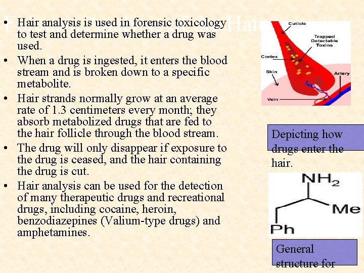 Forensic Analysis of the Hairs • Hair analysis is used in forensic toxicology to