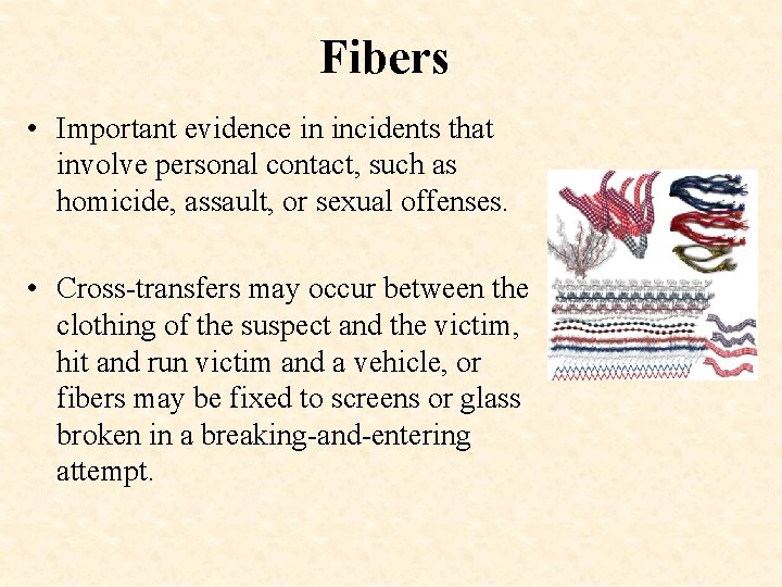 Fibers • Important evidence in incidents that involve personal contact, such as homicide, assault,