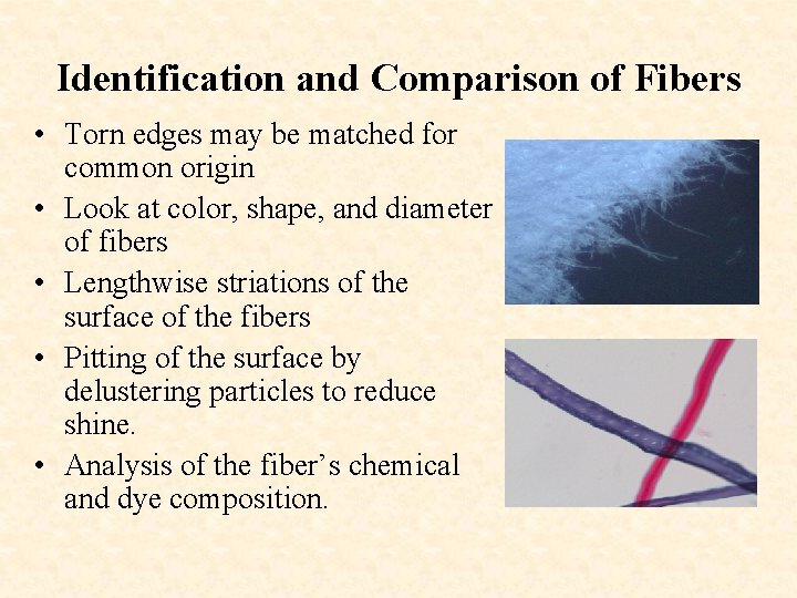 Identification and Comparison of Fibers • Torn edges may be matched for common origin