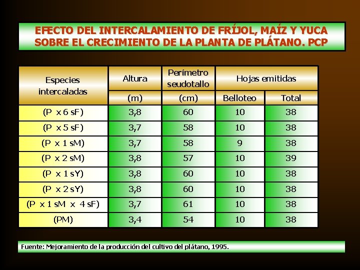 EFECTO DEL INTERCALAMIENTO DE FRÍJOL, MAÍZ Y YUCA SOBRE EL CRECIMIENTO DE LA PLANTA