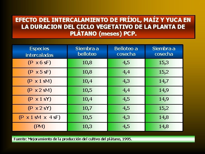 EFECTO DEL INTERCALAMIENTO DE FRÍJOL, MAÍZ Y YUCA EN LA DURACION DEL CICLO VEGETATIVO