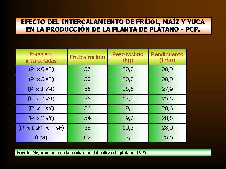 EFECTO DEL INTERCALAMIENTO DE FRÍJOL, MAÍZ Y YUCA EN LA PRODUCCIÓN DE LA PLANTA