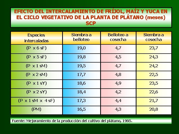 EFECTO DEL INTERCALAMIENTO DE FRÍJOL, MAÍZ Y YUCA EN EL CICLO VEGETATIVO DE LA