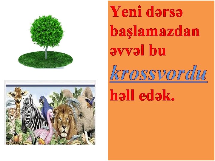 Yeni dərsə başlamazdan əvvəl bu krossvordu həll edək. 