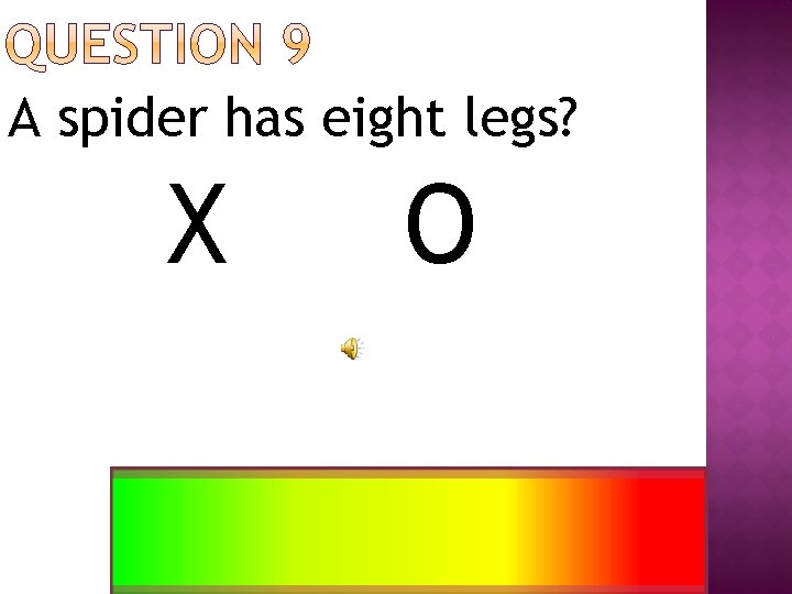 A spider has eight legs? X O 