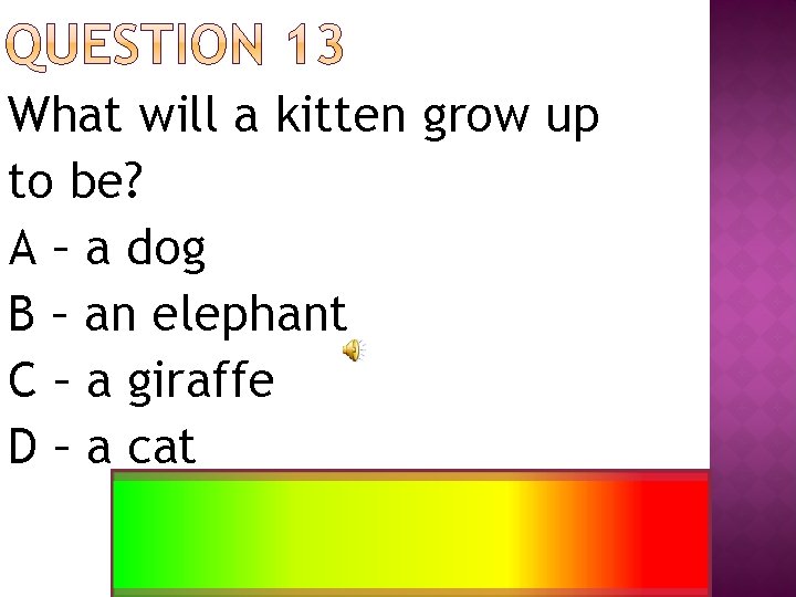 What will a kitten grow up to be? A – a dog B –