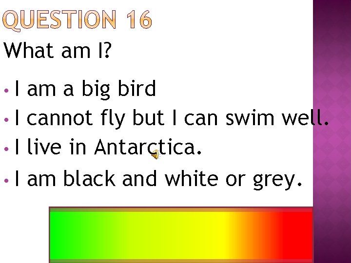What am I? • I am a big bird • I cannot fly but