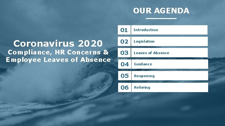 OUR AGENDA Coronavirus 2020 Compliance, HR Concerns & Employee Leaves of Absence 01 Introduction