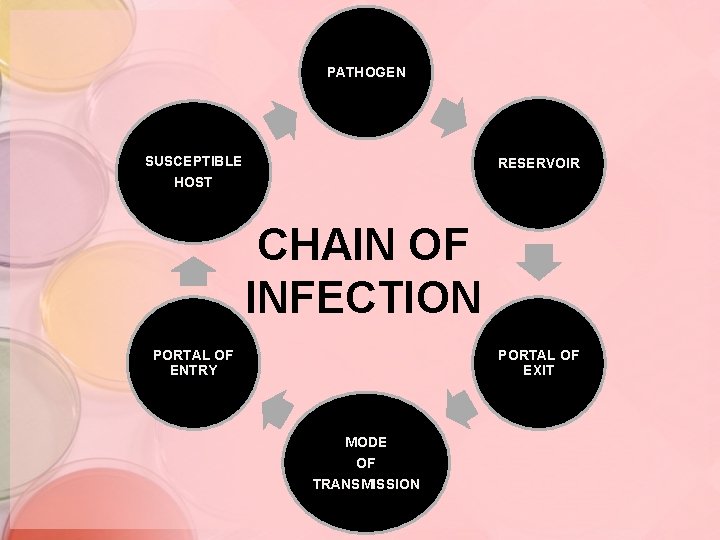 PATHOGEN SUSCEPTIBLE HOST RESERVOIR CHAIN OF INFECTION PORTAL OF ENTRY PORTAL OF EXIT MODE