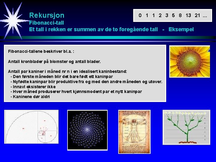Rekursjon 0 1 1 2 3 5 8 13 21 … Fibonacci-tall Et tall