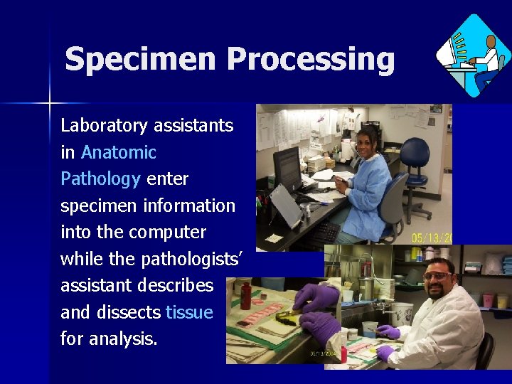 Specimen Processing Laboratory assistants in Anatomic Pathology enter specimen information into the computer while Specimen Processing Laboratory assistants in Anatomic Pathology enter specimen information into the computer while