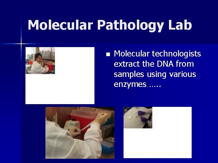 Molecular Pathology Lab n Molecular technologists extract the DNA from samples using various enzymes Molecular Pathology Lab n Molecular technologists extract the DNA from samples using various enzymes