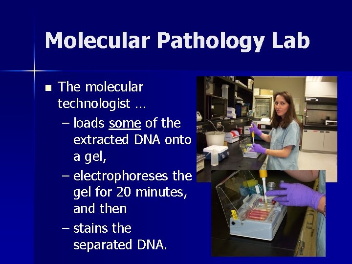 Molecular Pathology Lab n The molecular technologist … – loads some of the extracted Molecular Pathology Lab n The molecular technologist … – loads some of the extracted