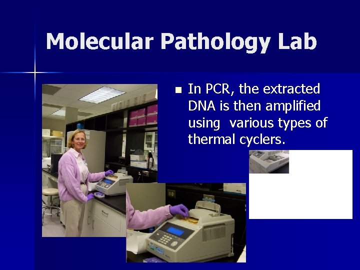 Molecular Pathology Lab n In PCR, the extracted DNA is then amplified using various Molecular Pathology Lab n In PCR, the extracted DNA is then amplified using various