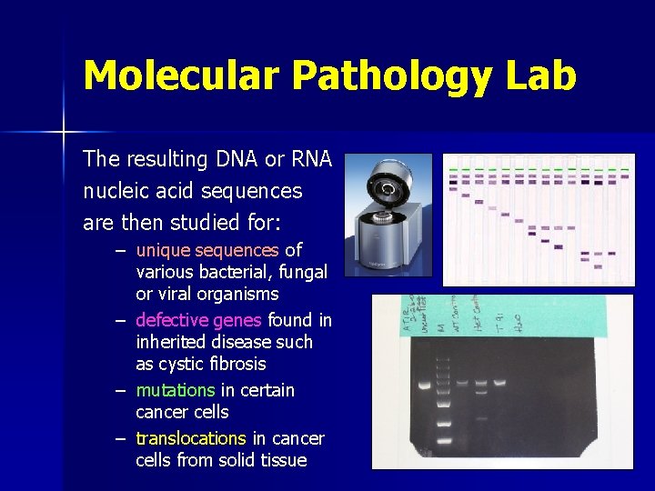 Molecular Pathology Lab The resulting DNA or RNA nucleic acid sequences are then studied Molecular Pathology Lab The resulting DNA or RNA nucleic acid sequences are then studied