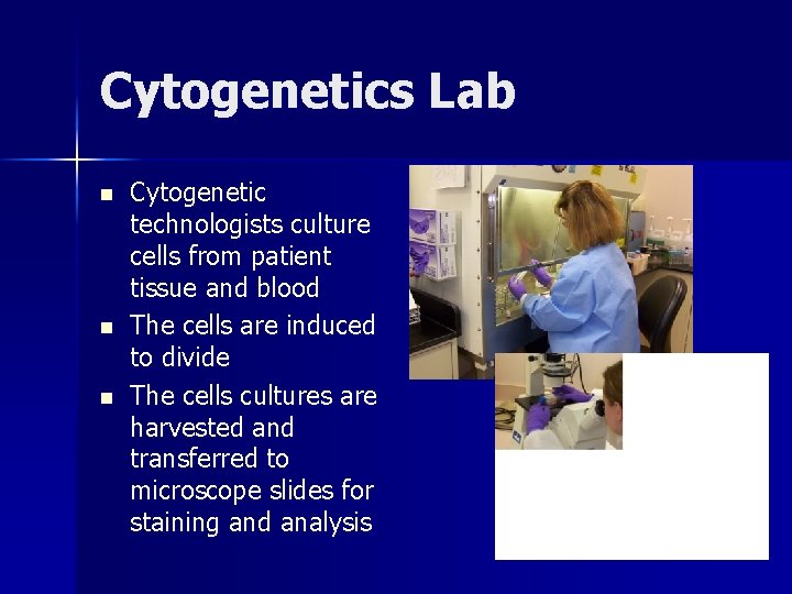 Cytogenetics Lab n n n Cytogenetic technologists culture cells from patient tissue and blood Cytogenetics Lab n n n Cytogenetic technologists culture cells from patient tissue and blood