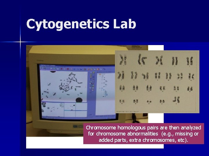 Cytogenetics Lab Chromosome homologous pairs are then analyzed for chromosome abnormalities (e. g. , Cytogenetics Lab Chromosome homologous pairs are then analyzed for chromosome abnormalities (e. g. ,