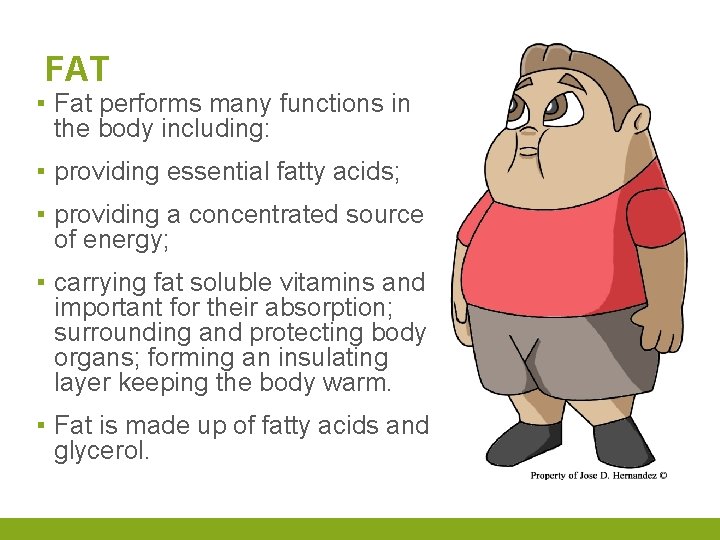 FAT ▪ Fat performs many functions in the body including: ▪ providing essential fatty