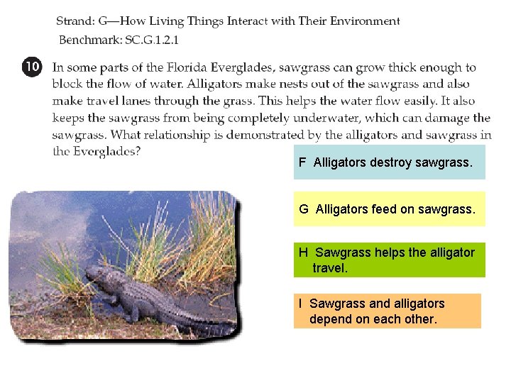 F Alligators destroy sawgrass. G Alligators feed on sawgrass. H Sawgrass helps the alligator