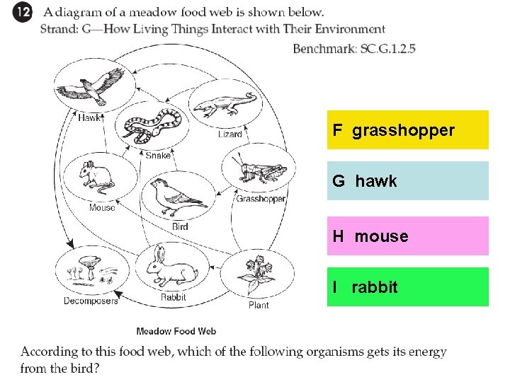 F grasshopper G hawk H mouse I rabbit 