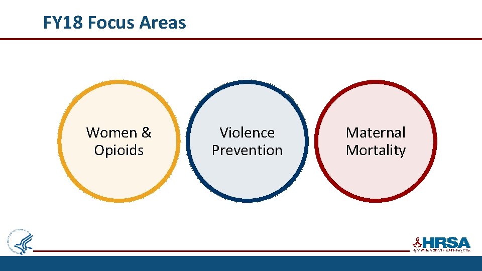 FY 18 Focus Areas Women & Opioids Violence Prevention Maternal Mortality 