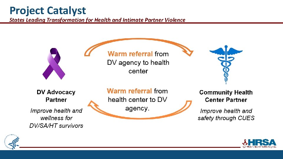 Project Catalyst States Leading Transformation for Health and Intimate Partner Violence 