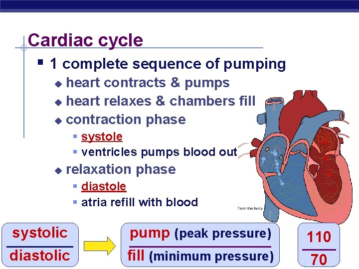 Cardiac cycle § 1 complete sequence of pumping heart contracts & pumps u heart