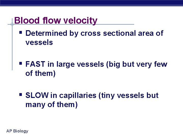 Blood flow velocity § Determined by cross sectional area of vessels § FAST in