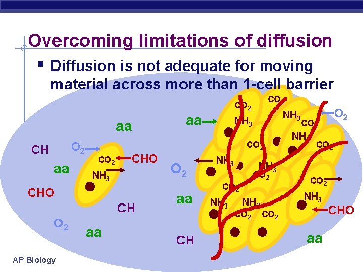 Overcoming limitations of diffusion § Diffusion is not adequate for moving material across more