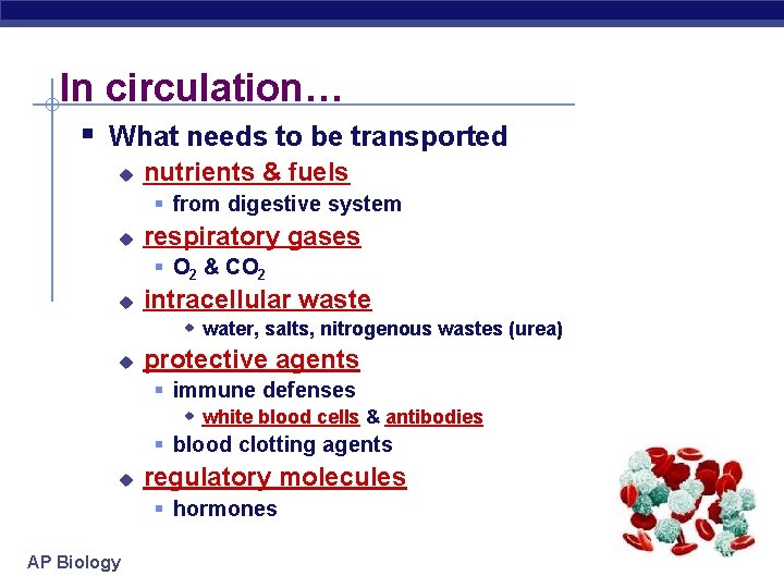 In circulation… § What needs to be transported u nutrients & fuels § from