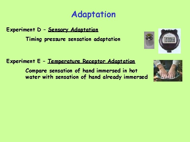 Adaptation Experiment D – Sensory Adaptation Timing pressure sensation adaptation Experiment E – Temperature