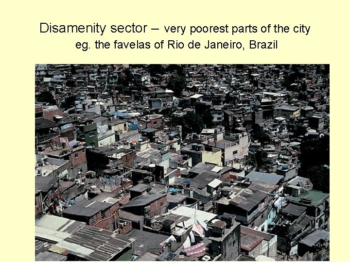 Disamenity sector – very poorest parts of the city eg. the favelas of Rio