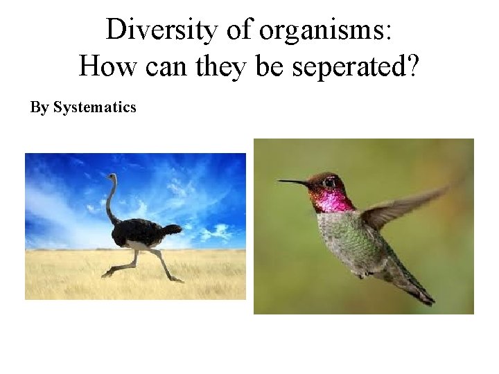 Diversity of organisms: How can they be seperated? By Systematics 