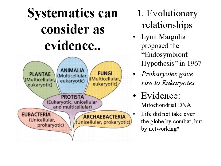 Systematics can consider as evidence. . 1. Evolutionary relationships • Lynn Margulis proposed the