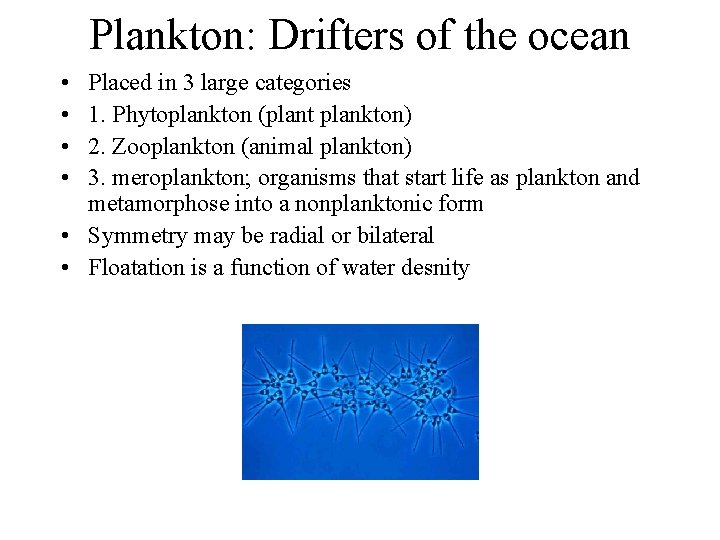 Plankton: Drifters of the ocean • • Placed in 3 large categories 1. Phytoplankton