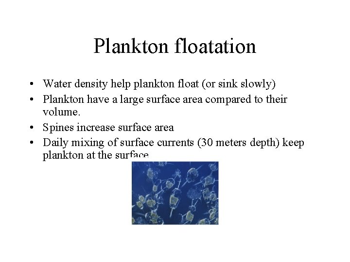 Plankton floatation • Water density help plankton float (or sink slowly) • Plankton have