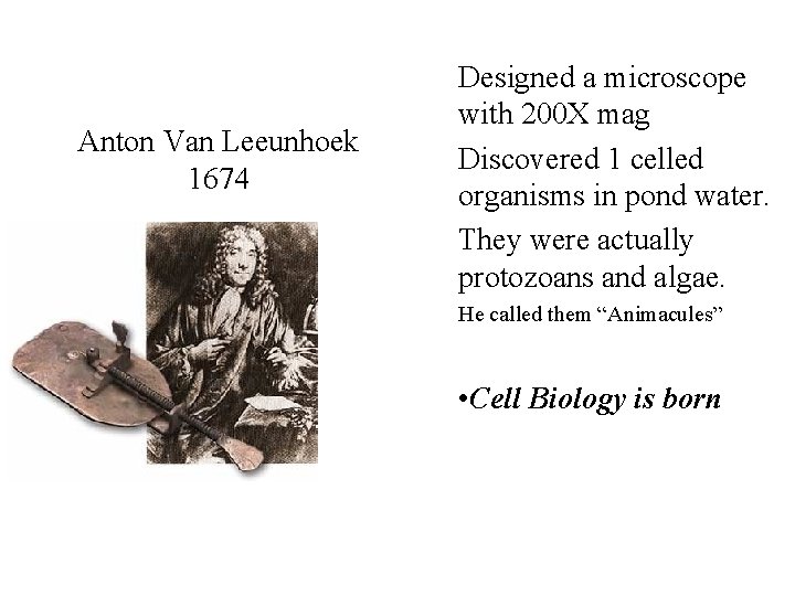 Anton Van Leeunhoek 1674 Designed a microscope with 200 X mag Discovered 1 celled