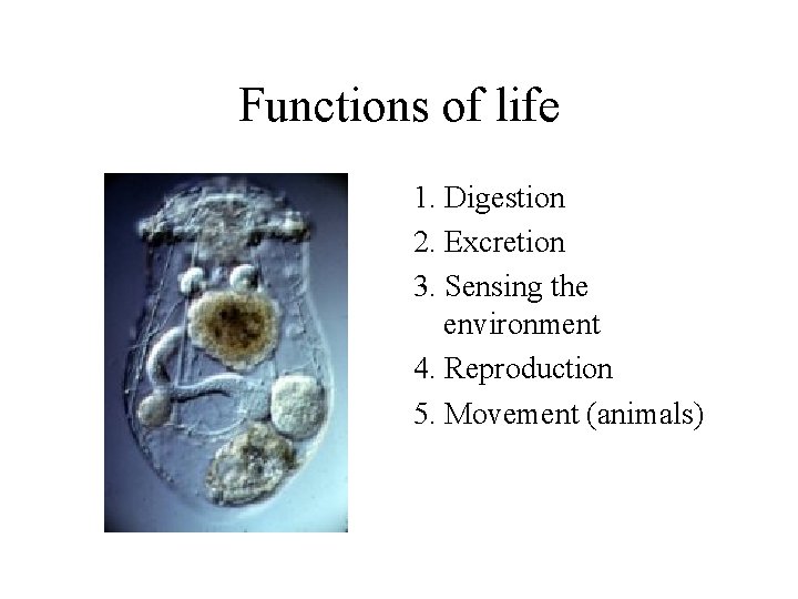 Functions of life 1. Digestion 2. Excretion 3. Sensing the environment 4. Reproduction 5.