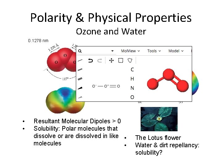Polarity & Physical Properties Ozone and Water 0. 1278 nm • • Resultant Molecular