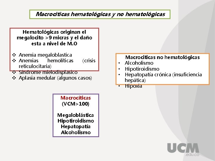 Macrociticas hematológicas y no hematológicas Hematológicas originan el megalocito >9 micras y el daño