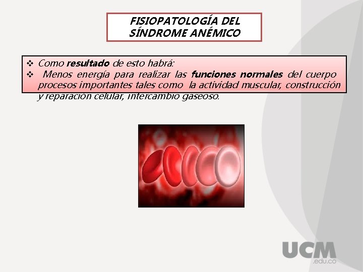 FISIOPATOLOGÍA DEL SÍNDROME ANÉMICO v Como resultado de esto habrá: v Menos energía para